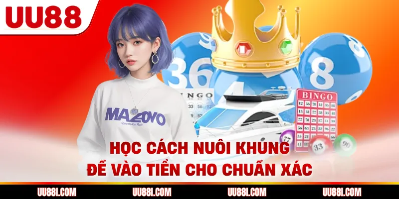 Học cách nuôi khung để vào tiền cho chuẩn xác 